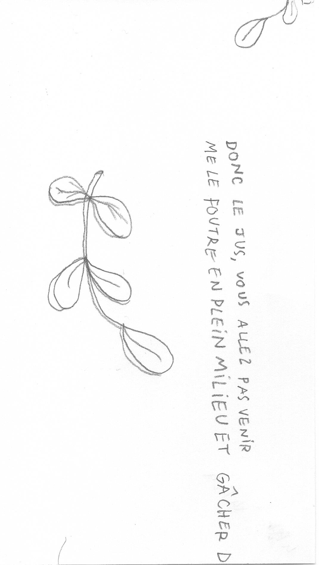Image 14