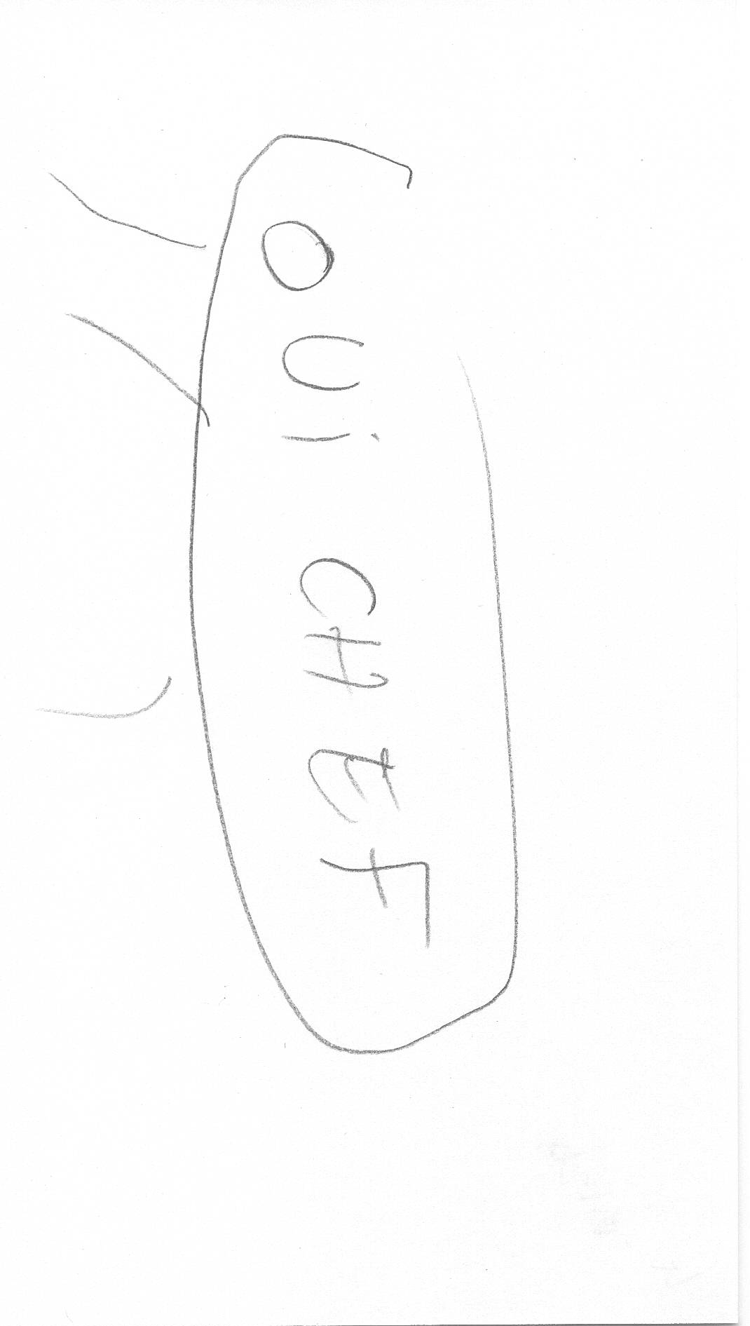 Image 19