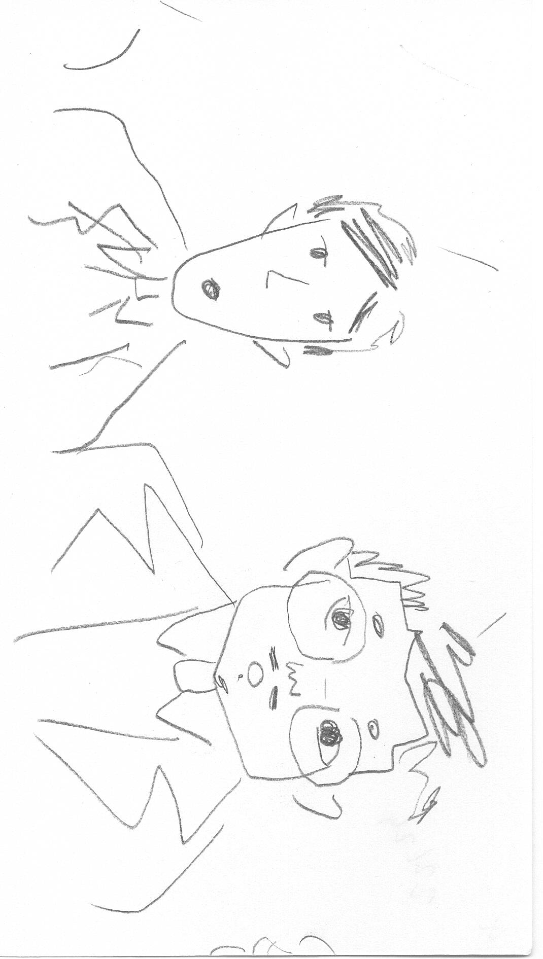 Image 22
