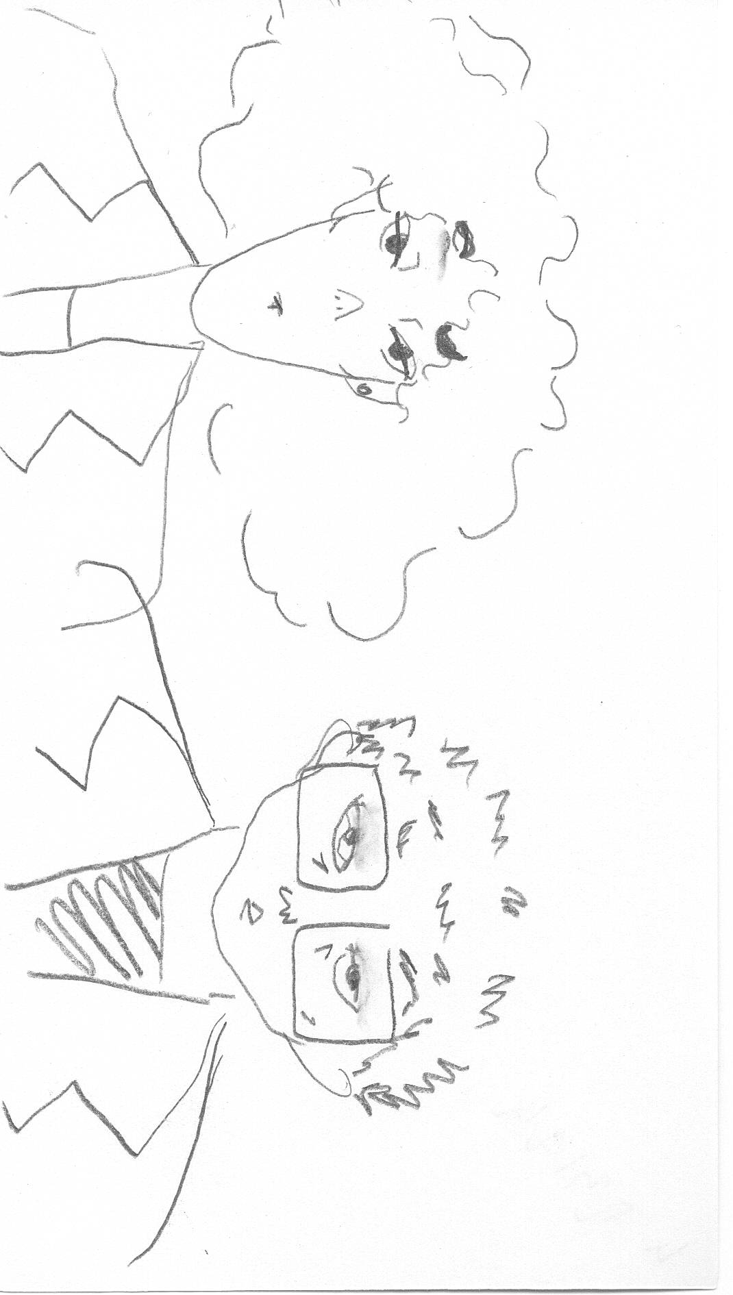 Image 23